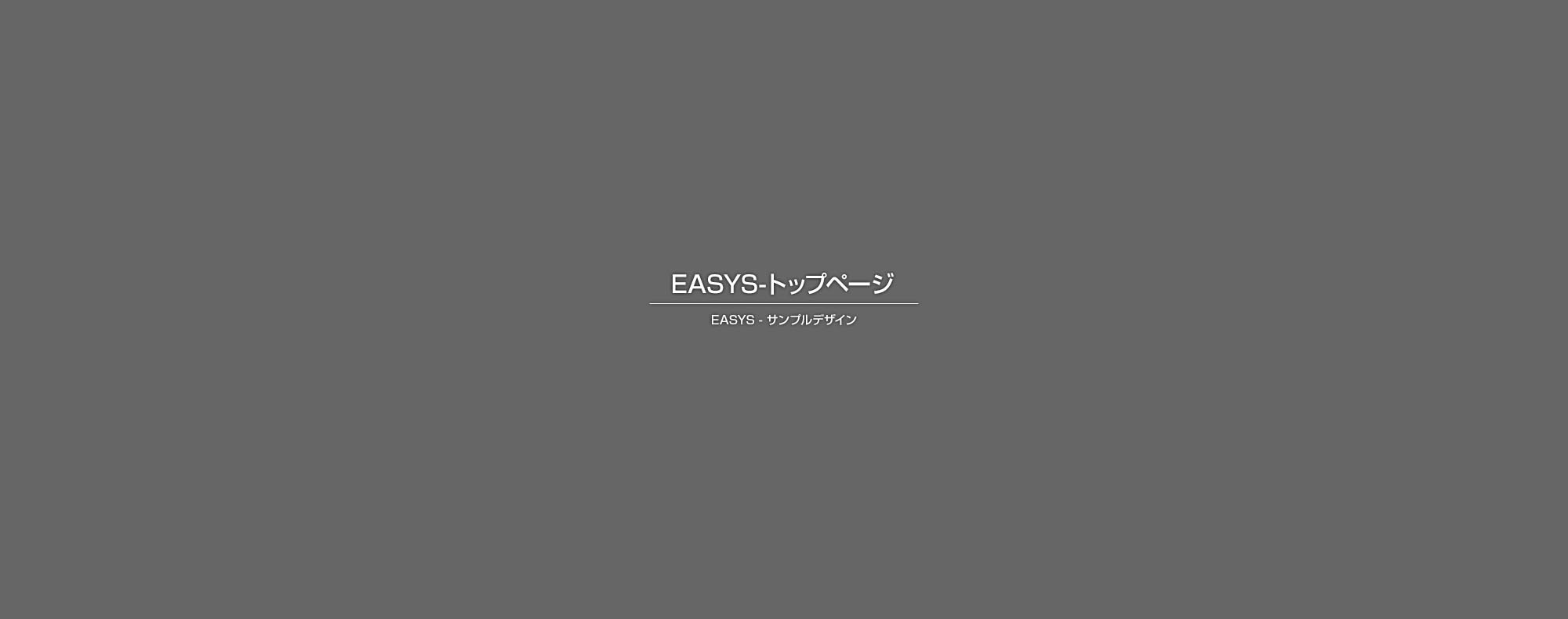 <span>WEBソリューション営業本部 本部長</span> 井上 照明